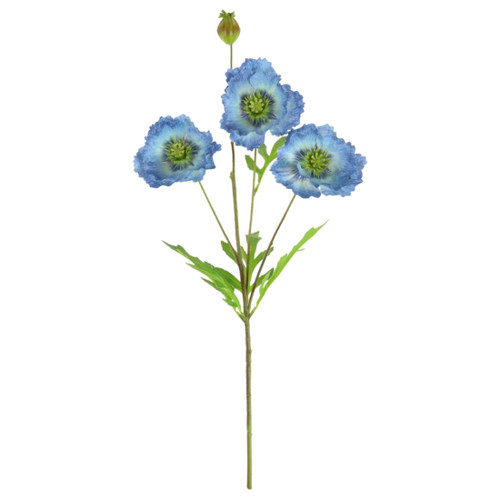 A 68cm blue grand oriental poppy stem.