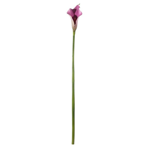 A 60cm Purple Botanica Calla Lily. A 60cm Purple Botanica Calla Lily.