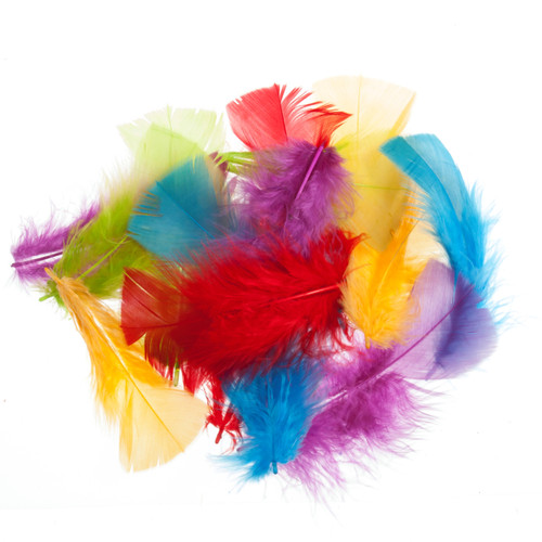 A Bag of 100 Assorted Small Feathers, manufactured by Trimits. A Bag of 100 Assorted Small Feathers, manufactured by Trimits.