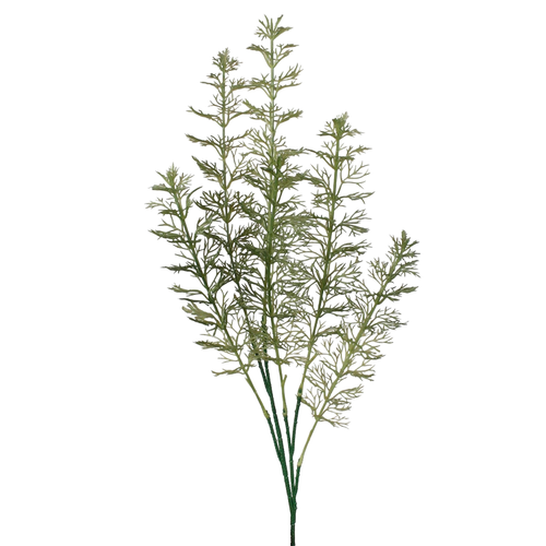 A 65cm Green Dill Spray.