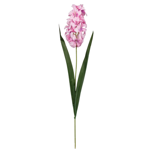 A 49cm Light Pink Hyacinth Stem.
