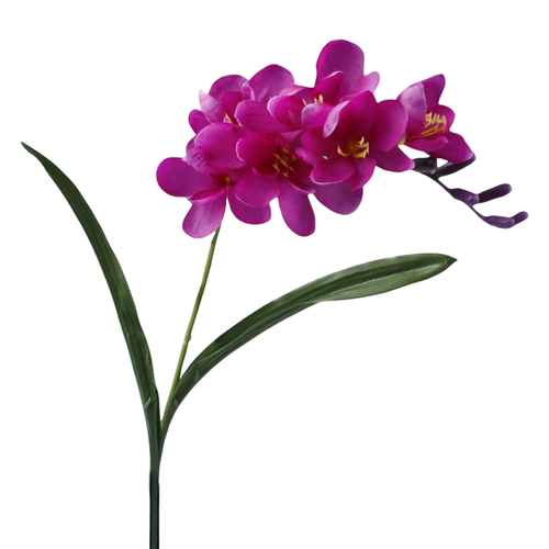 A 56cm Magenta Freesia Stem.