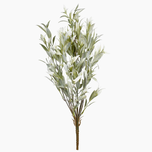 A 49cm Frosty Green Sage Bunch.