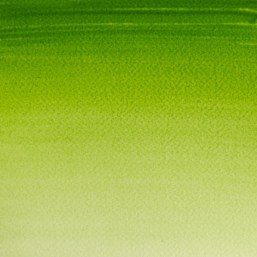 A Winsor & Newton Sap Green Cotman Watercolour Half Pan.