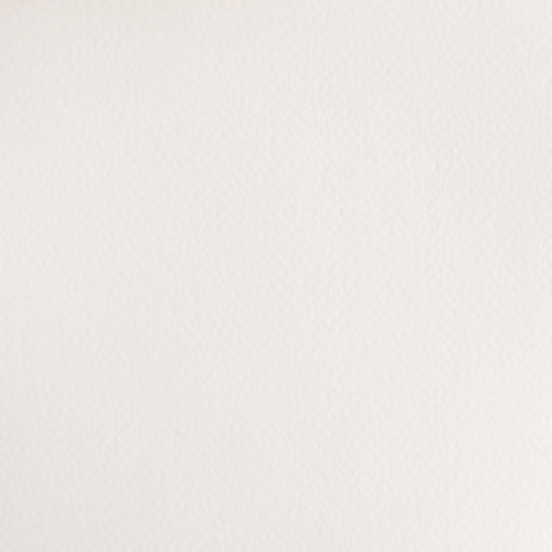 Winsor & Newton Chinese White Cotman Watercolour Half Pan (1)