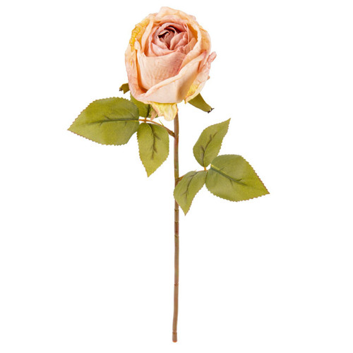 A Dry Touch Rose Quartz Rose Stem.
