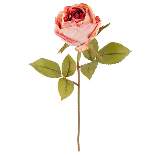 A Dry Touch Vintage Pink Rose Stem.