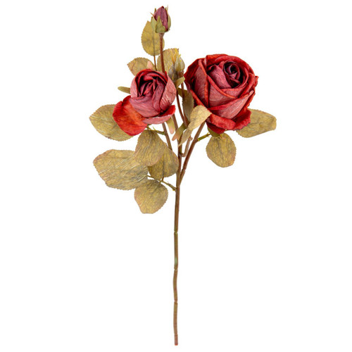 A Dry Touch Vintage Wine Rose Spray.