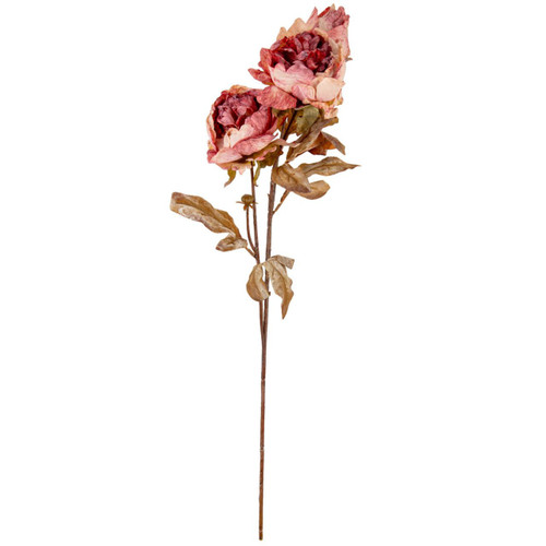 A Dry Touch Vintage Pink Peony Spray.