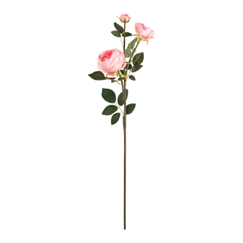 75cm Pink Elizabeth Garden Rose Spray (1)