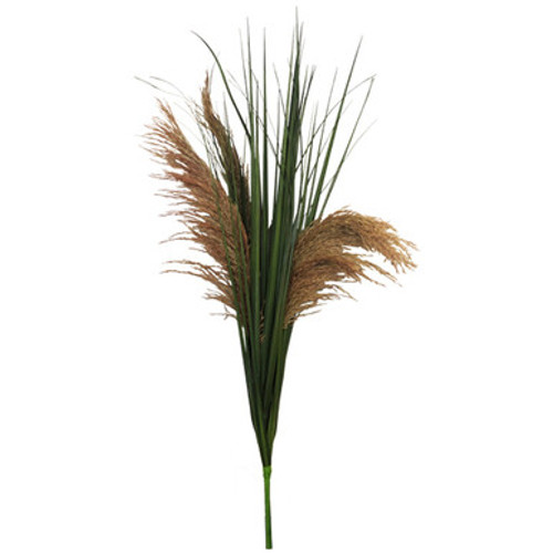 90cm Pampas Grass Bush - 3 Heads