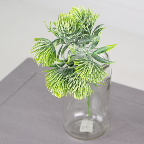 A 31cm Tropic Thistle Stem. A 31cm Tropic Thistle Stem.