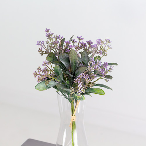 Purple Seeded Bunch, measuring 38cm. Purple Seeded Bunch, measuring 38cm.