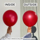 12" Metallic Red Sempertex Latex Balloons (50)