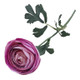 50cm Mauve Pink Ranunculus Flower (1) 50cm Mauve Pink Ranunculus Flower (1)