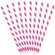 Dark Pink Striped Paper Straws (10) Dark Pink Striped Paper Straws (10)