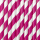Dark Pink Striped Paper Straws (10) Dark Pink Striped Paper Straws (10)