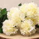 50cm Cream Carnations Bunch
