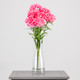 50cm Pink Carnations Bunch 50cm Pink Carnations Bunch