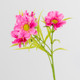 A 59cm Pink Lillia Daisy Spray A 59cm Pink Lillia Daisy Spray