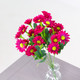 32cm Magenta Mia Daisy Bunch