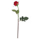 45cm Red Oxford Rose Bud (1)