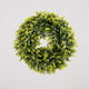 50cm Forest Green Eucalyptus Wreath