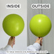 260 Standard Lime Green Kalisan Entertainer Balloons (100) 260 Standard Lime Green Kalisan Entertainer Balloons (100)