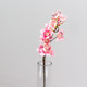 Pink Japanese Cherry Blossom Spray, measuring 68cm. Pink Japanese Cherry Blossom Spray, measuring 68cm.