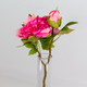 Dried Touch Hot Pink Open Peony Stem, measuring 52cm. Dried Touch Hot Pink Open Peony Stem, measuring 52cm.