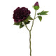 52cm Dried Touch Aubergine Open Peony Stem 52cm Dried Touch Aubergine Open Peony Stem
