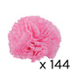 A pink coloured carnation head