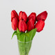 36cm Red Tulip Bunch (1)