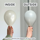 260 Silk Oyster White Sempertex Nozzle Up Entertainer Balloons (50)