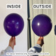 A pack of 50 Plum Purple Tuftex entertainer balloons.