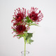 A 65cm Red Protea spray.
