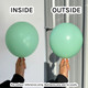 260 Pastel Matte Green Sempertex Nozzle Up Entertainer Balloons (50) 260 Pastel Matte Green Sempertex Nozzle Up Entertainer Balloons (50)