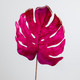 A Magenta Velvet Monstera Stem, measuring approx. 80cm!