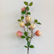 77cm Natural Apple Stem