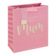 A Pink Best Mum Ever Gift Bag.