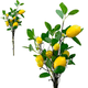 A 53cm Lemon Bunch.