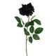 An Artificial Black Rose Stem, measuring 71cm. An Artificial Black Rose Stem, measuring 71cm.