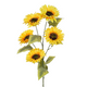 A 97cm Yellow Sunflower Spray. A 97cm Yellow Sunflower Spray.