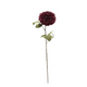 A 74cm Burgundy Dahlia Stem. A 74cm Burgundy Dahlia Stem.