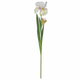 A White Monet Iris Pick, measuring approx. 87cm.