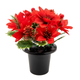 A Christmas Poinsettia & Holly Berries Grave Pot, measuring approx. 25cm. A Christmas Poinsettia & Holly Berries Grave Pot, measuring approx. 25cm.