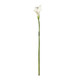 A 60cm White Botanica Calla Lily.