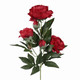 A 67cm Red Peony Spray.