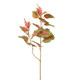 An 87cm Coleus Plant Spray.