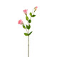A 72cm Real Touch Pale Pink Lisianthus Spray.